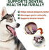 5 Pack 6 Inch Beef Cheek Rolls for Dogs Digestible Rawhide Alternative Chews, Long Lasting Dental Treats, Single