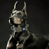 4-Layer Nylon Dog Collar for Large Dogs - Tactical Military Training Heavy Duty for Extra Large Breeds (21IN-27IN,