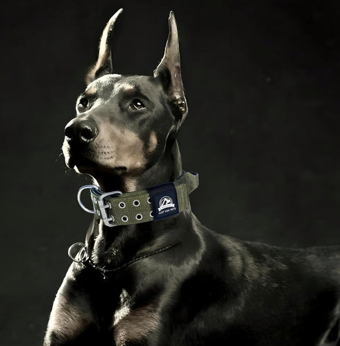 4-Layer Nylon Collar for Large Dogs, Tactical Military Training Heavy Duty Dog Collar for Extra Large Breeds