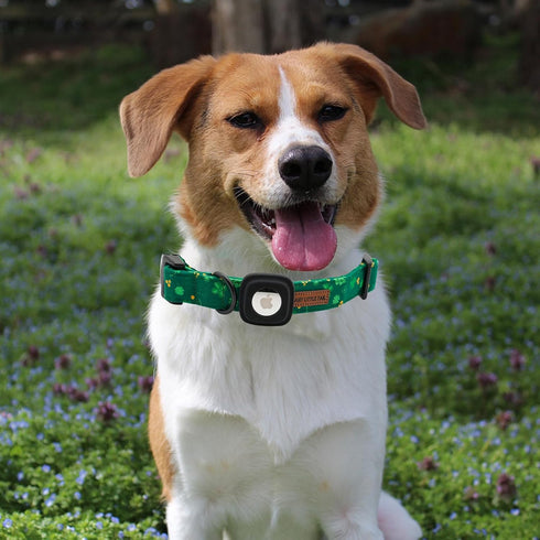 Elegant little tail St. Patrick's Day Dog Collar with Airtag Holder, Adjustable Cute Puppy Collar for Medium Dogs