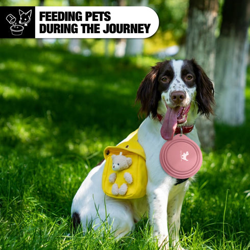 Rest-Eazzzy 2-Pack Silicone Collapsible Dog Bowls, Portable Travel Feeding Cup for Dogs and Cats (Grey, Pink, 600 ML).