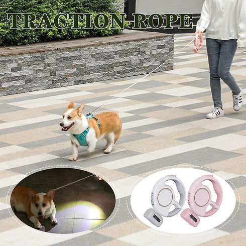 Best Dog Supplies Luxurious White LED-Retractable Dog Leash 10ft/3M - Rechargeable with LED Flashlight for Small &