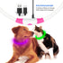 LED Dog Collar, USB Rechargeable Glowing Lighted Collar, Water-Resistant TPU Safety Lights for All Dog Sizes