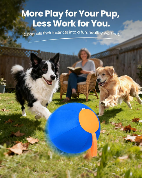 25-Inch Herding Ball for Dogs, Giant Fun Play Toy for Large & X-Large Breeds, Heavy-Duty Inflatable Ball with Strong