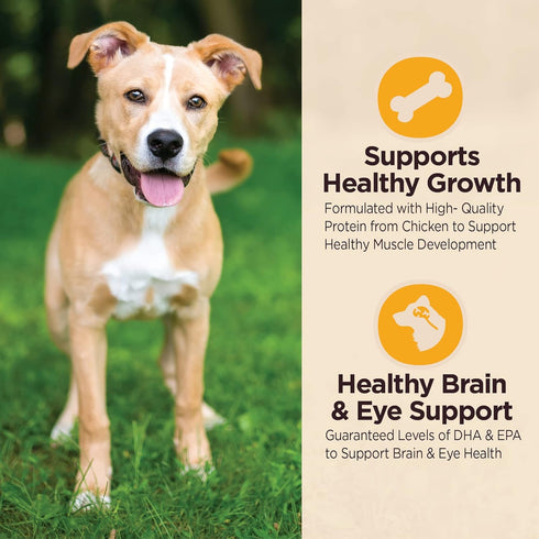 Wellness CORE Digestive Health Dry Puppy Food, Highly Digestible, Made in USA with Real Chicken, 4-Pound Bag