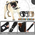 3 2XL Dog Pants with Replace Diaper, Female Dog Heat Cycle Reusable Diapers Adjustable Pads for Dogs in Heat Grey