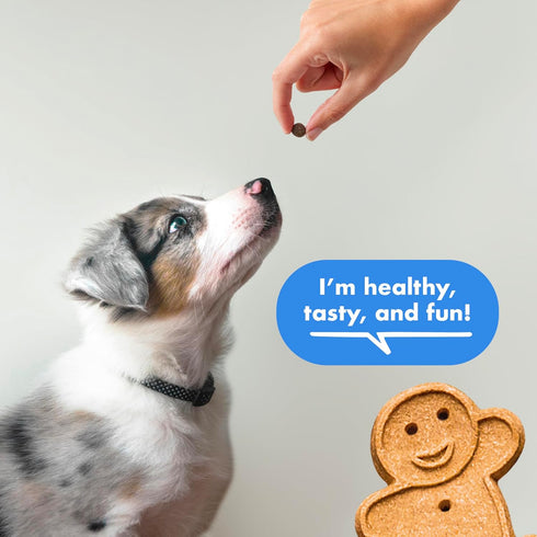 10 oz. Buddy Biscuits Trainers Training Bites Soft & Chewy Dog Treats, Bacon, Pouch