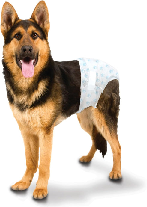 19" 36 Count Four Paws Wee-Wee Super Absorbent Disposable Adjustable Dog Potty Training Diapers, Leak-Proof Protection