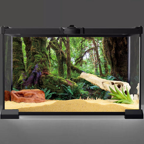 AWERT Tropical Forest Terrarium Background 48x18 Inches Green Huge Tree Reptile Habitat Durable Polyester Background