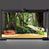 AWERT 72x18 inches Tropical Forest Terrarium Background, Durable Polyester for Reptile Habitat