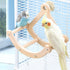 Bird Perch Toy, Interactive Rocking Parakeet Toys and Perches, Wooden Exercise Cockatiel Toys, Intelligence Birds