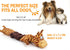 Squeaky Dog Toys for Boredom, No Stuffing Tug-of-War Toy with Crinkle Paper, Interactive Elastic Puppy Toys for All