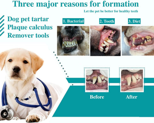 8 Pcs Dog Tartar Remover Tools, Cat Plaque Off Calculus Remover, Stainless Steel Dental Care for Dogs and Cats.