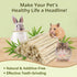 240g Chinchilla Sukh Sweet Bamboo Chew Sticks - Rabbit Chew Sticks & Bamboo Sticks for Rabbits, Natural Bunny Bamboo