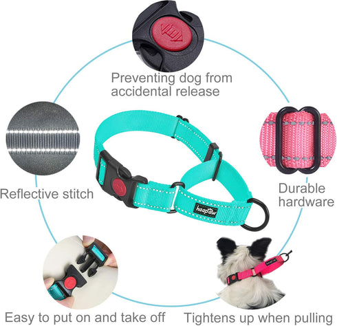 haapaw 2 Packs Martingale Dog Collar - Quick Release Buckle Reflective Training Collars for Small Medium Large Dogs