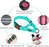 haapaw 2 Packs Martingale Dog Collar - Quick Release Buckle Reflective Training Collars for Small Medium Large Dogs
