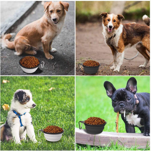 Dog Bowl Pet Collapsible Bowls, 2 Pack Portable Foldable Travel Bowls for Dogs Cats and Small Animals