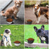 Dog Bowl Pet Collapsible Bowls, 2 Pack Portable Foldable Travel Bowls for Dogs Cats and Small Animals