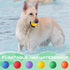 12 Pieces Colorful Rubber Dog Balls Tennis Balls for Fetch Training, 2.4 Inch Interactive Bounce and Floatable