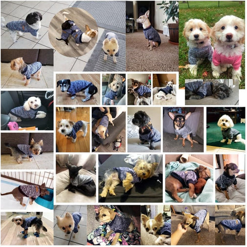 Pet Dog Navy Blue Classic Knitwear Sweater, Warm Winter Coat for Small Dogs (M)
