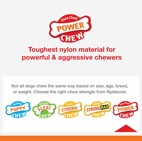25 lbs, 1 Count Nylabone Dental Dinosaur Power Chew Toy for Dogs, Dog Toys for Aggressive Chewers, Chicken Flavor