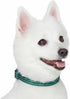 Blueberry Pet Essentials Matching Large Dog Collar, Adjustable Classic Solid Color Nylon Reflective Dark Green Collar