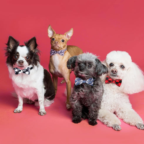 Segarty 6 PCS Dog Bow Tie, Holiday Grooming Bulk Bows for Pet Puppy Photography, Cute Plaid Patterned Gift