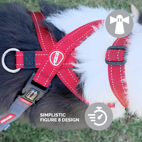EzyDog Crosscheck Harness - Dog Training No Pull Harness, Escape Proof, Reflective, Comfortable Fit (S, Blue)