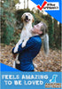Amazing Dog Treats Lamb Lung Squares (8 oz.) - 100% Natural Lamb Lung for Dogs
