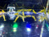 (10 (+2)) Golden Back Yellow Shrimp Live Freshwater Shrimp Aquarium Neocaridina Inverts RCS Shrimps