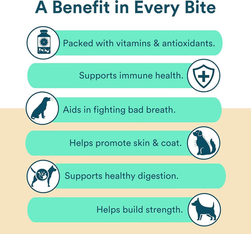 Benefit Biscuits, All Natural Dog Treats, Certified Vegan, Non GMO, Wheat Free, Healthy Dog Biscuits, 7oz