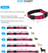 Upgraded AirTag Dog Collar, IP68 Waterproof Holder, Reflective Heavy Duty Padded Collars for Small Medium Large Dogs