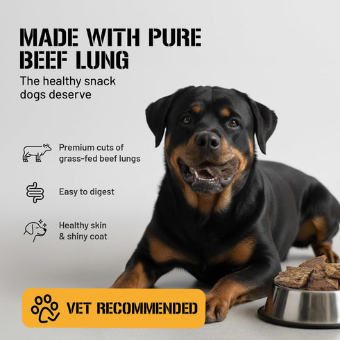 10 oz Dog Chits Beef Lung Fillets Dog and Puppy Treats All Natural Chews for Dogs Grain-Free, High-Protein, Low Fat