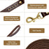 Guiding Star Leather Dog Leash 6ft, Heavy Duty Handmade Training Leash for Large Medium Dogs (Brown)