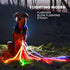 Illumiseen LED Light Up Dog Leash, Ultra High Visibility, USB Rechargeable, Padded Handle, 3 Lighting Modes