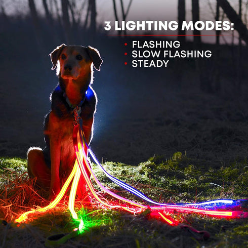 Illumiseen LED Light Up Dog Leash, Ultra High Visibility, USB Rechargeable, 3 Lighting Modes, Padded Handle
