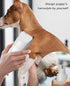 Small Dog Electric Clippers for Grooming - 4 in 1 Cordless Low Noise Paw Trimmer Nail Grinder Shaver for Small Pets