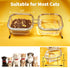 Elevated Cat Bowls, 15° Tilted Glass Raised Food Bowl with Stainless Steel Stand, 2 Large Capacity Bowls