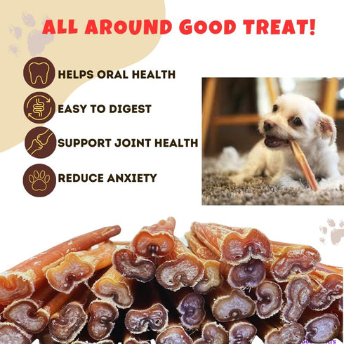 Amazing Dog Treats - 6 Inch Bully Sticks Medium Size (20 Pcs/Pack) - Long Lasting Chews for Small to Medium Dogs