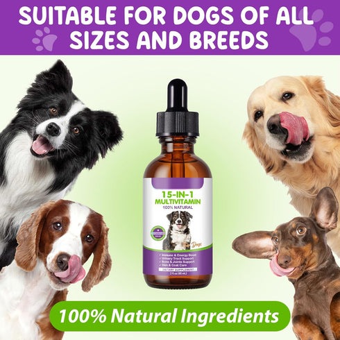 CFXYHNOX 15 1 B1, Dog Multivitamin Drops, in Multivitamin Liquid for Dog with Vitamin C, Vitamin D & Dog Health