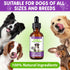 CFXYHNOX 15 1 B1, Dog Multivitamin Drops, in Multivitamin Liquid for Dog with Vitamin C, Vitamin D & Dog Health