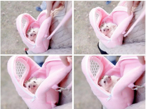 1 PCS Portable White Mesh African Hedgehog Hamster Carrier Bag | Breathable Pet Dog Handbag, Puppy Cat Travel (M)