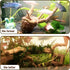 Hamiledyi 5.9-7.9in Natural Driftwood Spider Wood Assorted Branches for Fish Tank Decoration (3 PCS).
