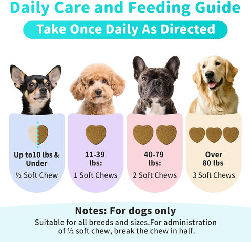 10B 5 5 90 Count Probiotics for Dogs, Digestive Enzymes & Pumpkin Fiber for Gut Health and Bowel Support, Dog