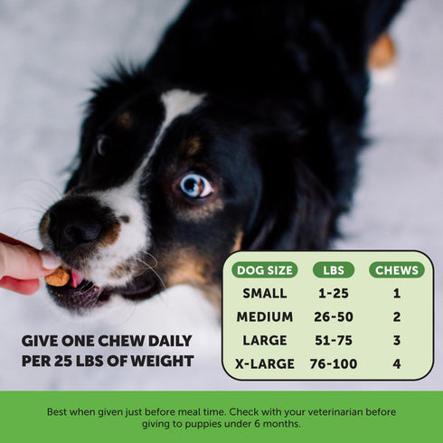 Pet Honesty Grass Green Max Strength Burn Spot Chews, 90 ct - Dog Pee Lawn Spot Saver Supplement with Probiotics