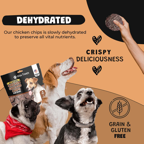 Chicken Gizzard Chips for Dogs, All Natural Training Treats, Made in USA, Healthy for All Breeds (6 oz)