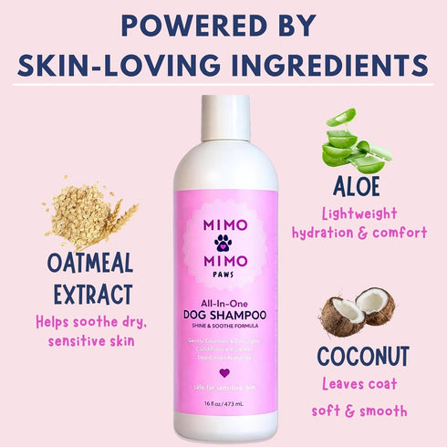 16 oz, Dog Shampoo & Conditioner with Oatmeal, Aloe & Coconut All-in-One for Long, Curly, Short & Wavy Coats, Sensitive