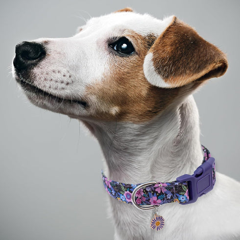 Faygarsle Cotton Dog Collar, Cute Floral Design for Small Medium Large Dogs, Soft Fancy Pet Collars for Girls