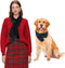 E-Clover Christmas Dog Bandanas Matching Owner Green Blue Buffalo Scarf Plaid Dog
