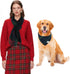 E-Clover Christmas Dog Bandanas Matching Owner Green Blue Buffalo Scarf Plaid Dog